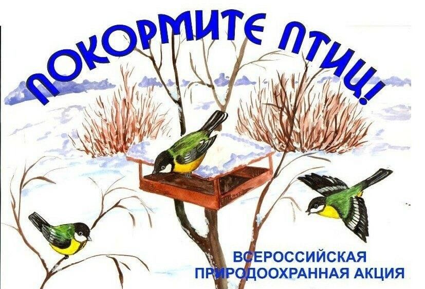 Акция «Покормите птиц зимой»..